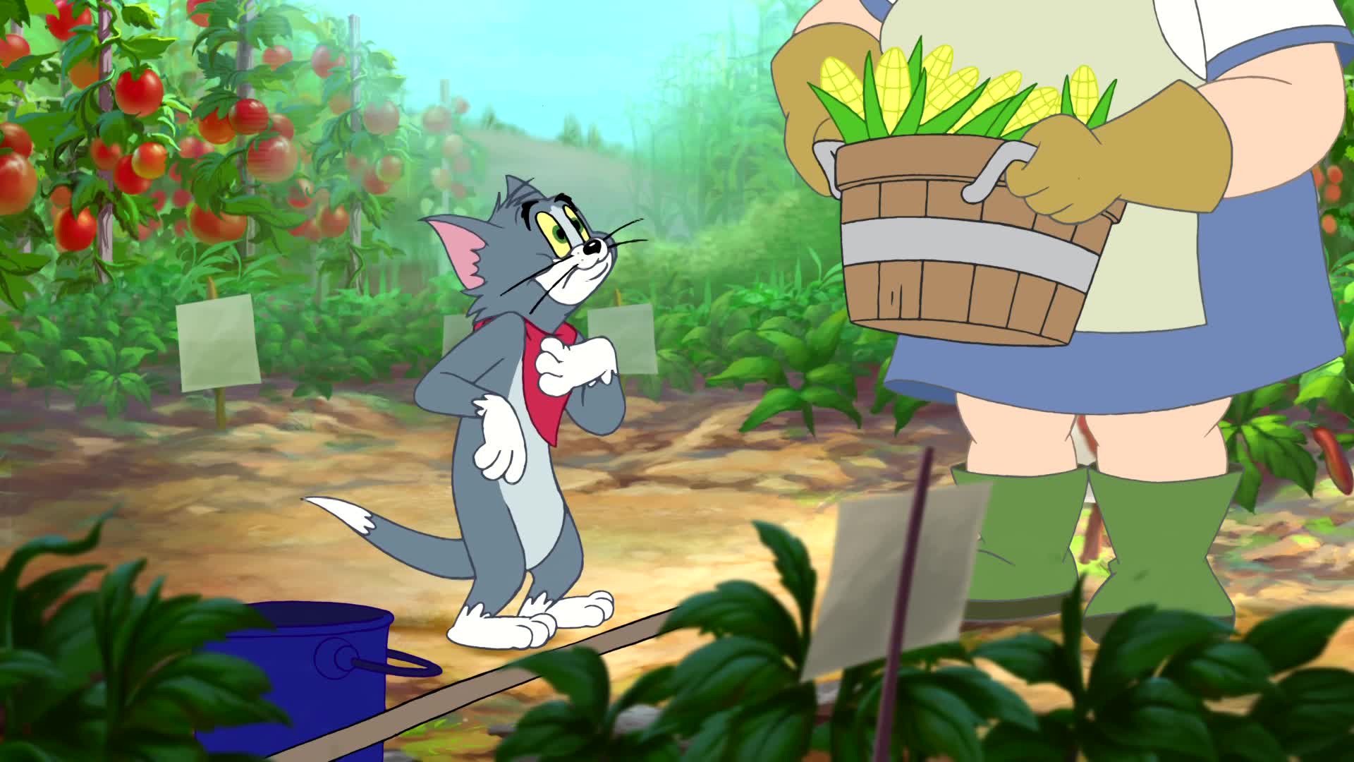 Watch Tom & Jerry Tales - Season 5 | Prime Video