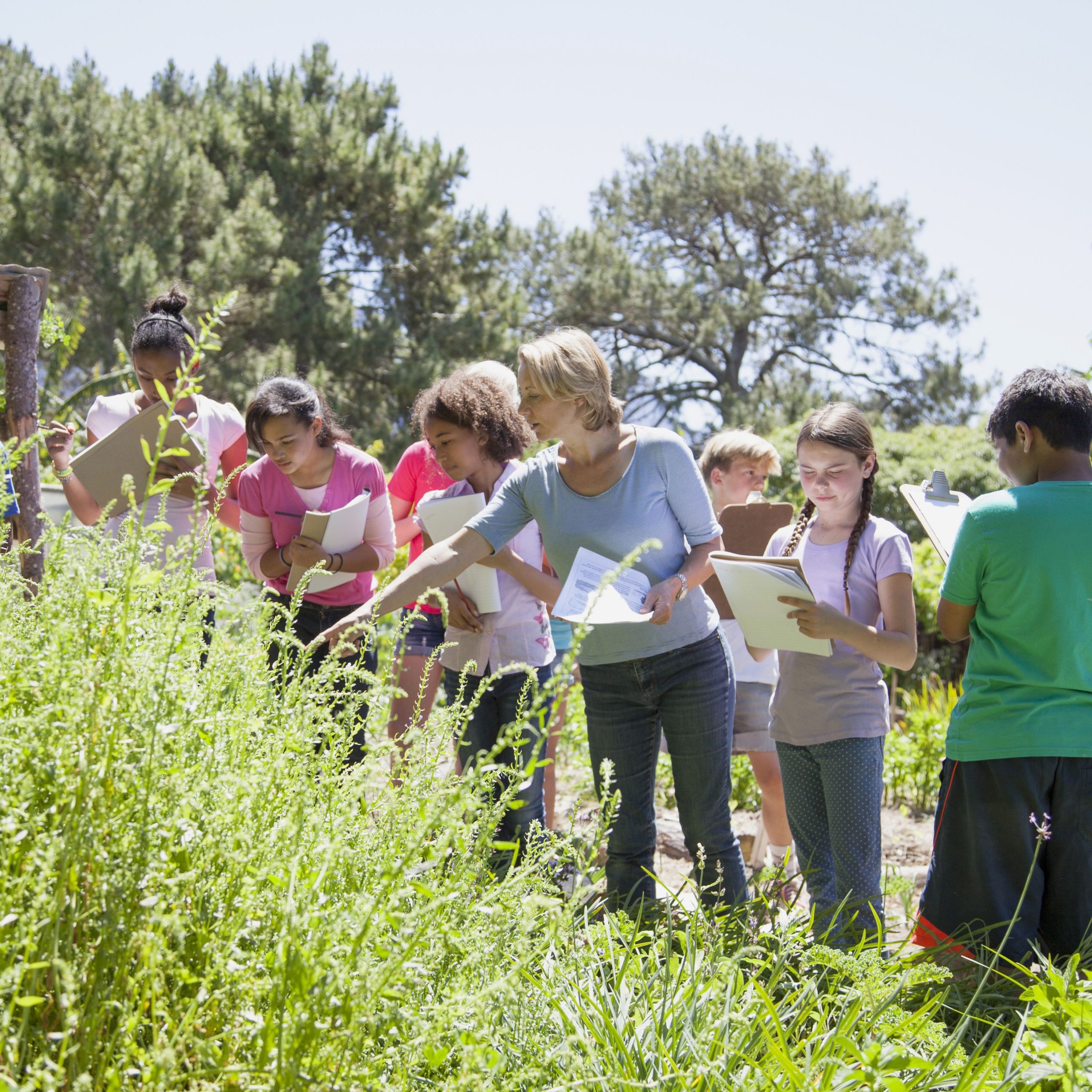 Pros and Cons of Class Field Trips