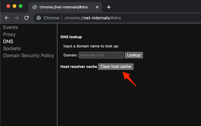 chrome://net-internals/#dns – Flush DNS Cache on Chrome